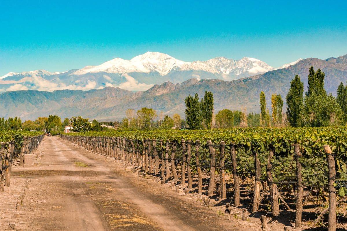 Mendoza 